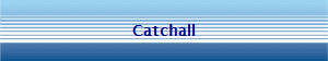 Catchall